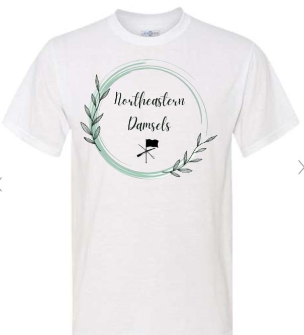 KNIGHTS DAMSELS SHIRTS